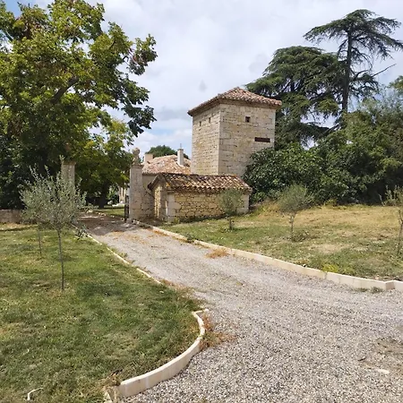 Chartreuse Du Xviiie *