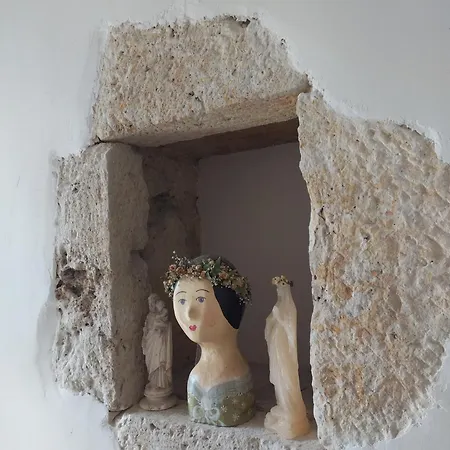 Chartreuse Du Xviiie *