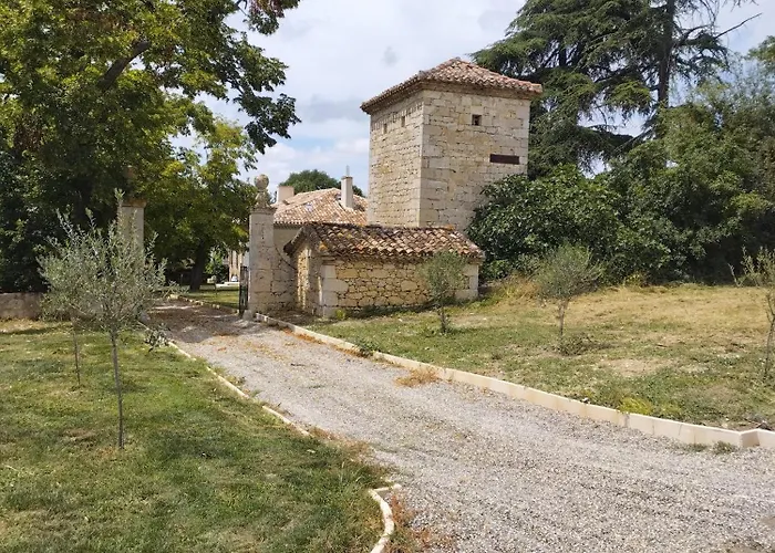 Chartreuse Du Xviiie *